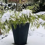 Prázdninový dům Reetdach Am Luebbesee Sauna Bootsteg Neu By Interhome