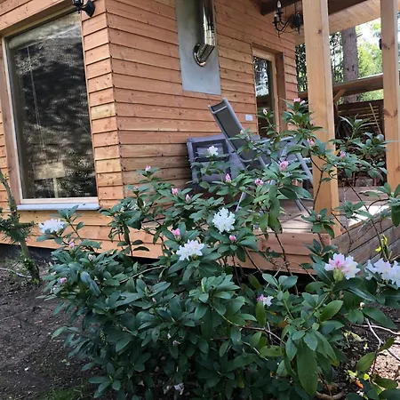 Reetdach Am Luebbesee Sauna Bootsteg Neu By Interhome Сasa de vacaciones Milmersdorf