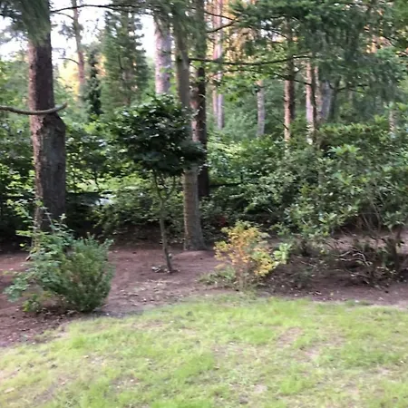 בית נופש Reetdach Am Luebbesee Sauna Bootsteg Neu By Interhome *
