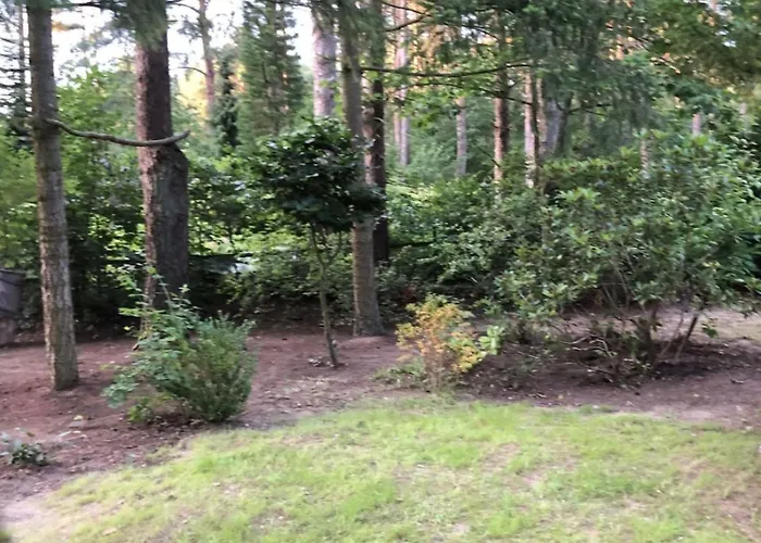 Сasa de vacaciones Reetdach Am Luebbesee Sauna Bootsteg Neu By Interhome *