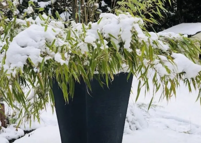 Сasa de vacaciones Reetdach Am Luebbesee Sauna Bootsteg Neu By Interhome